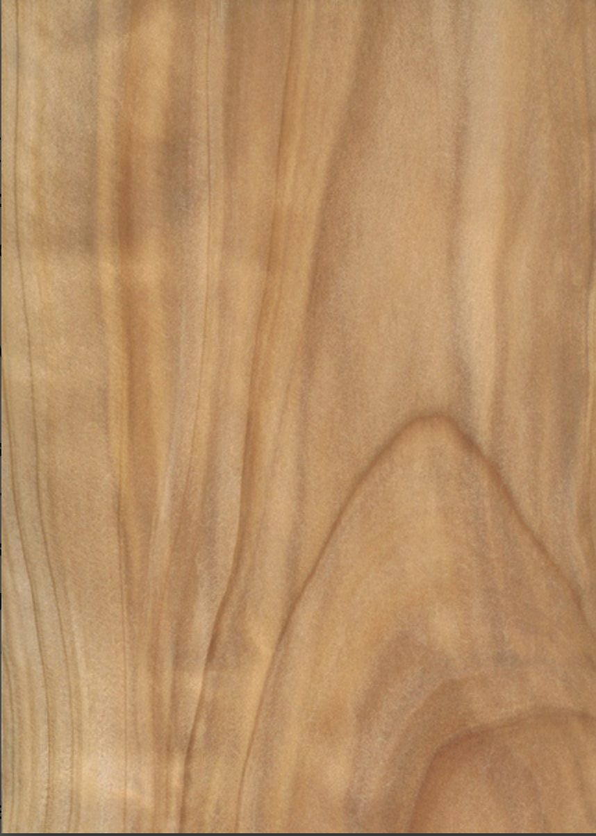 Cypress
